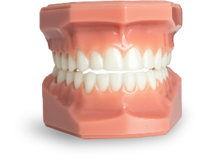 Edmonton dentist for dental cleanings, cosmetic services, and emergency dental care